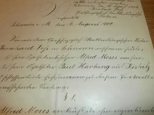 Apotheker Paul Hartung auf Köstritz , 1909 , B. Voß und Alfred Moses in Schwerin , Dokument 13 Seiten , Adel Mecklenburg