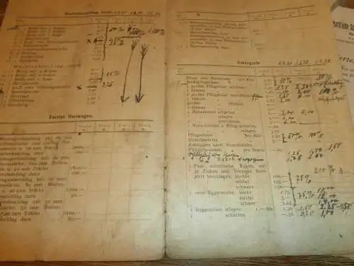 Schmiedevereinigung  in Mecklenburg , 1923 , Schmied , Schmiede , Agrar , Landwirtschaft !!