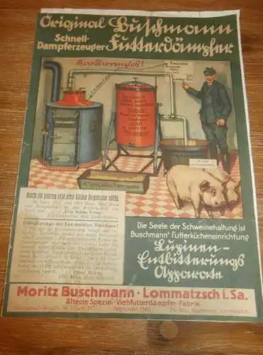 Buschmann Lommatzsch - Dampferzeuger 1930 , Dämpfer , Viehzucht , DRP , Prospekt , Katalog , Reklame , Heizungsbau !!!