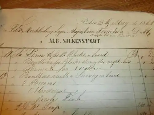 Rittergut von Lücken in Zahrensdorf b. Ludwigslust , 1861-87 , Hünerbusch / Neu Gülze , Boizenburg , Bahia , Mecklenburg