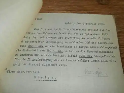 Forstamt Malchin i. Mecklenburg , 1925 , Scharpzow , Gülzow , Dargun und Gielow , alte Dokumente !!