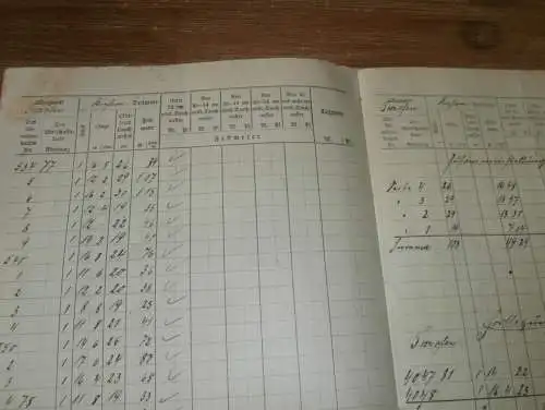 Gräfliche Forstverwaltung Basedow i. Mecklenburg , 1924 , Abrechnungen Teerofen und Neu-Basedow , alte Dokumente !!