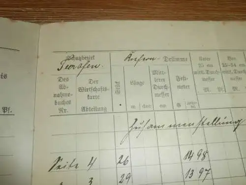 Gräfliche Forstverwaltung Basedow i. Mecklenburg , 1924 , Abrechnungen Teerofen und Neu-Basedow , alte Dokumente !!