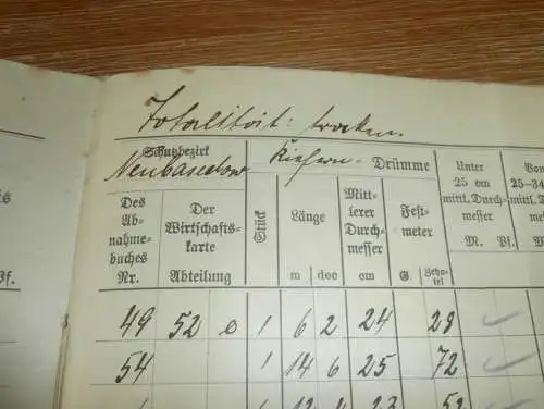 Gräfliche Forstverwaltung Basedow i. Mecklenburg , 1924 , Abrechnungen Teerofen und Neu-Basedow , alte Dokumente !!