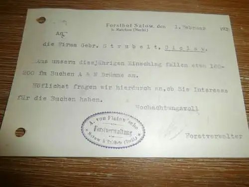 Forsthof von Flotow in Satow b. Malchow i. Mecklenburg , 1928 , Sägewerk Strubelt in Gielow , alte Karte !!!