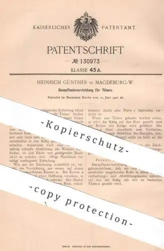 original Patent - Heinrich Günther , Magdeburg | 1901 | Dampfbadevorrichtung für Tiere | Tier , Haustier , Reinigung Bad