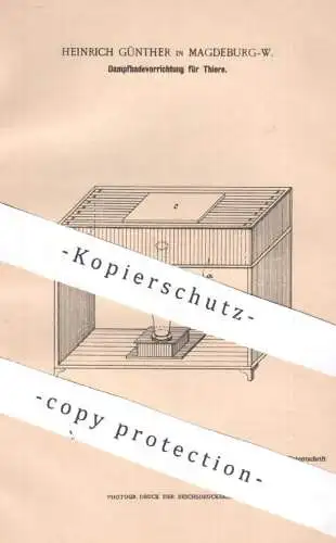 original Patent - Heinrich Günther , Magdeburg | 1901 | Dampfbadevorrichtung für Tiere | Tier , Haustier , Reinigung Bad