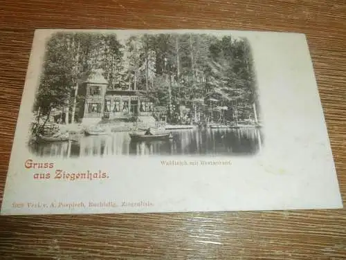 alte AK - Ziegenhals in Schlesien , ca. 1905 , Głuchołazy , Ansichtskarte !!