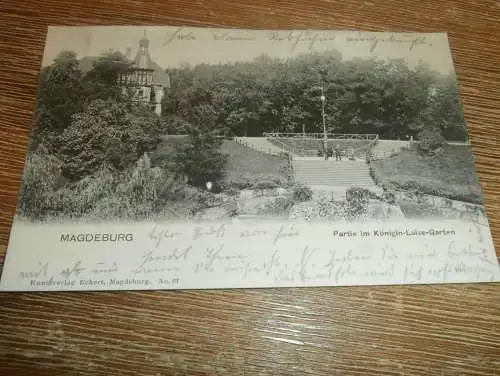 alte AK - Magdeburg  , 1904 , Königin-Luise-Garten ,  Ansichtskarte !!