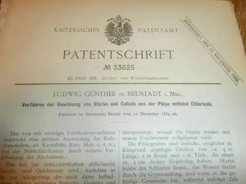 original Patent - Ludwig Günther in Neustadt i. Mecklenburg , 21.12.1884 , Stärkefabrikation , Fabrik , Stärke , Pülpe !