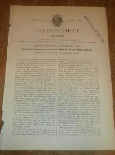 original Patent - Ludwig Günther in Neustadt i. Mecklenburg , 21.12.1884 , Stärkefabrikation , Fabrik , Stärke , Pülpe !