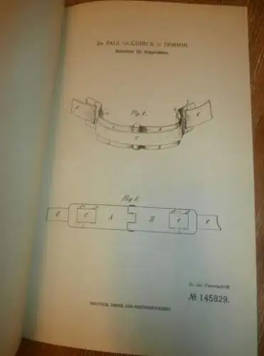 original Patent - Dr. Paul Goldbeck in Demmin i. Mecklenburg , 23.12.1902 , Halseisen für Pferde !!!