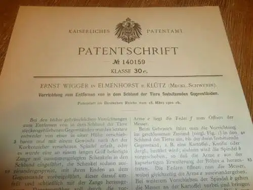 original Patent - Ernst Wigger in Elmenhorst b. Klütz i. Mecklenburg , 16.03.1902 , Apparat für Tierarzt , Landwirt !!!