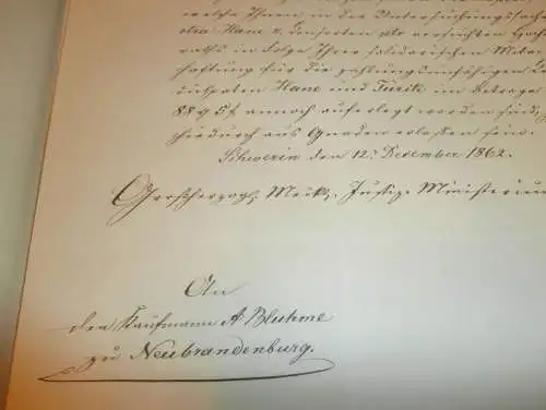 komplette Akte - Criminal-Kollegium zu Bützow , 1862 , Neubrandenburg , Kaufmann Bluhme , Mecklenburg !!!