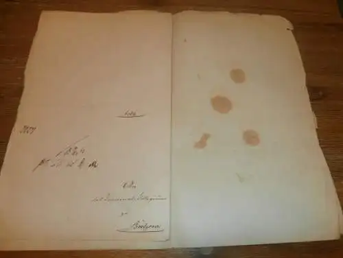 komplette Akte - Criminal-Kollegium zu Bützow , 1862 , Neubrandenburg , Kaufmann Bluhme , Mecklenburg !!!