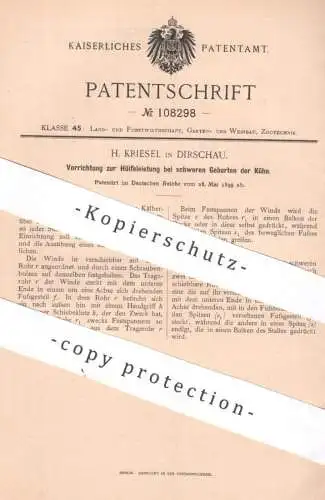 original Patent - H. Kriesel , Dirschau , 1899 , Hilfe bei schweren Geburten der Kühe | Kuh , Tierarzt , Veterinär