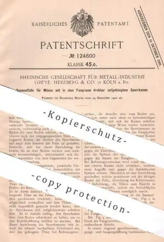 original Patent - Rheinische Gesellschaft Metall Industrie Greve , Herzberg & Co , Köln / Rhein | 1900 | Falle für Mäuse