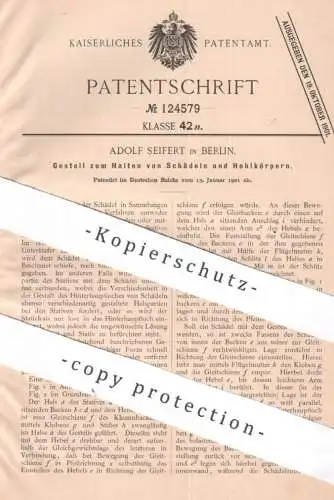 original Patent -  Adolf Seifert , Berlin , 1901 , Gestell zum Halten von Schädel o. Hohlkörper | Stativ , Halterung !