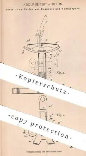 original Patent -  Adolf Seifert , Berlin , 1901 , Gestell zum Halten von Schädel o. Hohlkörper | Stativ , Halterung !