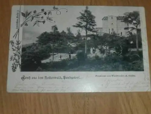 alte AK - Reckerwald Bendestorf , 1901 , Jesteburg b. Harburg , Pensionat !!!