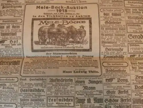 Greifswalder Zeitung , 24.04.1918, Greifswald in Mecklenburg , Pommern , Rügen , viel Reklame !!!