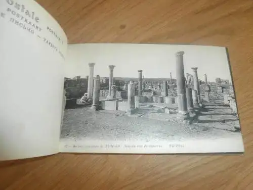 Album voll mit Postkarten / Ansichtskarten aus Timgad b. Batna , Algerien , AK , Fotoalbum !!!