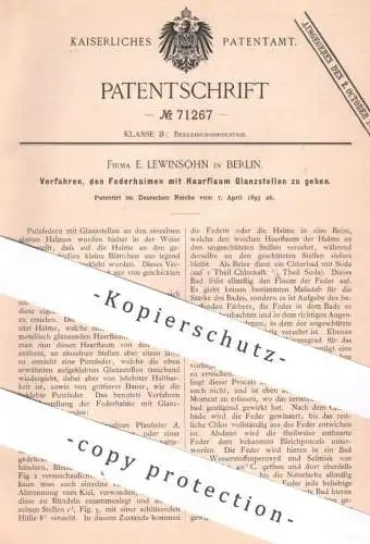 original Patent - Fa. E. Lewinsohn , Berlin | 1893 | Feder , Federn | Putzfeder , Pfauenfeder , Staubwedel , Federhalm