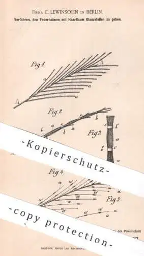 original Patent - Fa. E. Lewinsohn , Berlin | 1893 | Feder , Federn | Putzfeder , Pfauenfeder , Staubwedel , Federhalm