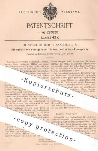 original Patent - Heinrich Dehler , Saalfeld a. S. | 1900 | Schutzhülle aus Drahtgeflecht für Obst | Weintrauben , Wein