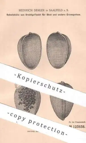 original Patent - Heinrich Dehler , Saalfeld a. S. | 1900 | Schutzhülle aus Drahtgeflecht für Obst | Weintrauben , Wein