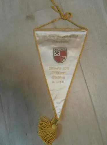 großer Wimpel Speedway Senftenberg - Brieske , 31.06.1966 , Weltmeisterschaft , ADMV , DDR , Motorsport , Rennsport !!