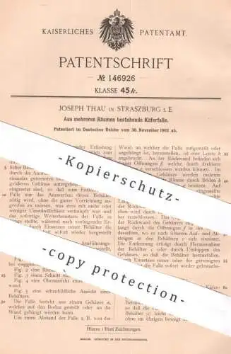 original Patent - Joseph Thau , Strassburg / Elsass | 1902 | Käferfalle aus mehreren Räumen | Käfer , Schädlinge