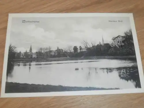 alte AK - Wolfenbüttel , ca. 1905 , Harzthor Wall , Ansichtskarte !!!