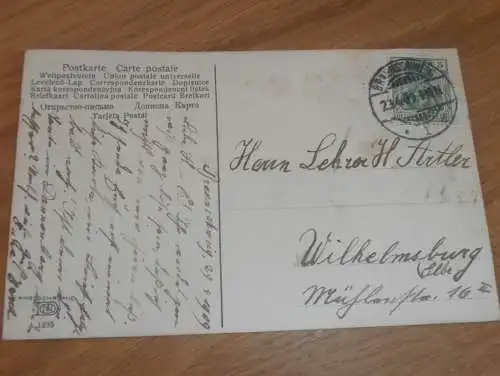 alte AK - Braunschweig , 1909 , Straße und Kirschbäume , Ansichtskarte !!