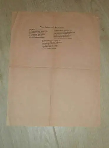 katholischer Jugendverein " Maria Immaculata " , 1925 , München , Programmheft , Theater , Familienfest , Kirche !!!