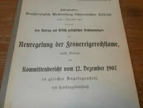 Fronerei in Mecklenburg , 1907 , alte Akte , Grevesmühlen , Schlachter , Karow , Hohen-Lukow , Sternberg , 23 Seiten !!!