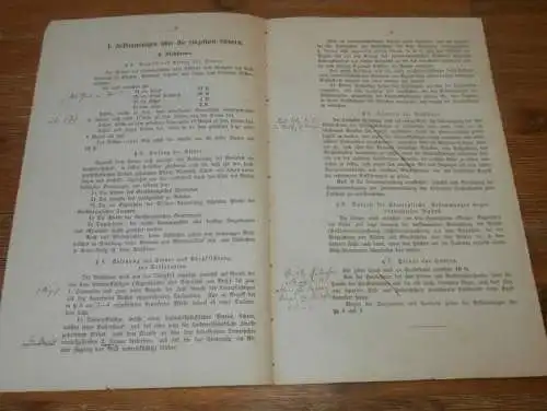 Steuern in Mecklenburg , 1885 , alte Akte , Pferde , Ziegen , Schafe Vieh Viehsteuer Finanzamt , Gesetze , 4 Seiten !!!