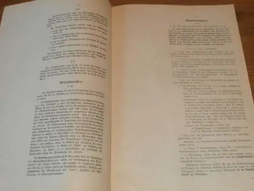 Gemeindeordnung in Mecklenburg , 1916 , alte Akte , Zarnekow b . Wismar , Gutsbesitzer , Orte , 22 Seiten !!