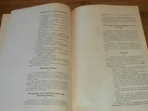 Gemeindeordnung in Mecklenburg , 1916 , alte Akte , Zarnekow b . Wismar , Gutsbesitzer , Orte , 22 Seiten !!
