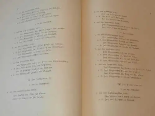 Wahl in Malchin i. Mecklenburg , 1906 , alte Akte , Landrat , Rittergutsbesitzer , Adel , von Maltzan , 12 Seiten !!!
