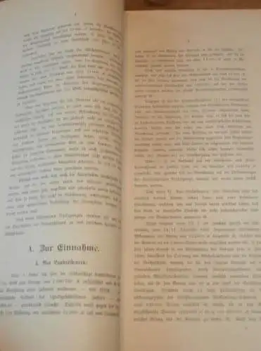 Landes-Steuer-Kasse in Mecklenburg , 1907 , alte Akte , Landrat , Schulden , Polizei , Sternberg , 23 Seiten !!!