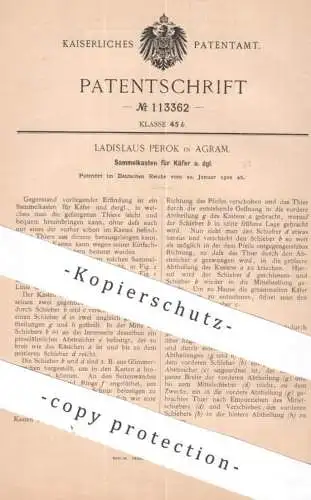 original Patent - Ladislaus Perok , Agram / Zagreb / Kroatien | 1900 | Sammelkasten für Käfer | Insekten , Tiere