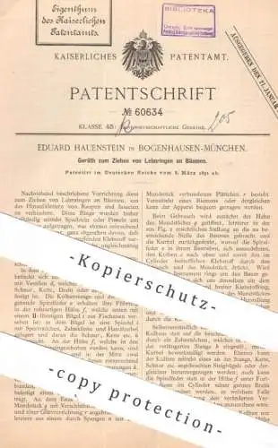 original Patent - Eduard Hauenstein , Bogenhausen / München | 1891 | Ziehen der Leimringe am Baum | Forst , Leimring !