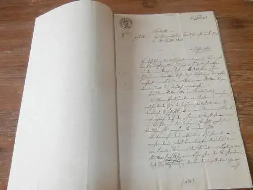 Helene von Müller . Westenbrügge geb. von Prollius , 1853 , von Meding , Bützow , alte Akte , Mecklenburg !!