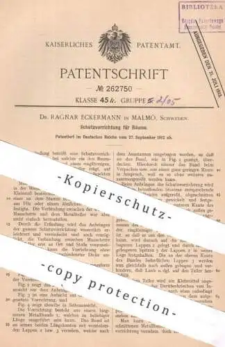 original Patent - Dr. Ragnar Eckermann , Malmö , Schweden | 1912 | Schutz für Bäume | Baum Leimring | Forstwirtschaft