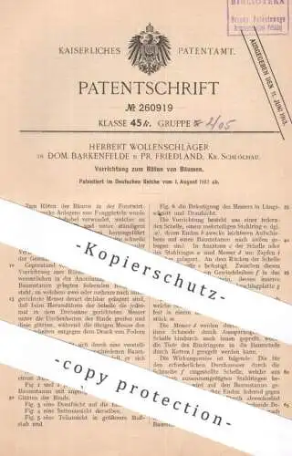 original Patent - Herbert Wollenschläger , Dom Barkenfelde / Friedland , Schlochau  | Bäume röten | Baum Forstwirtschaft
