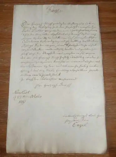 Dr. Diestler in Neustadt-Glewe , 1769 , Waren Müritz , Plau , Güstrow , Distler , Haffmeister alte Akte , Mecklenburg !!