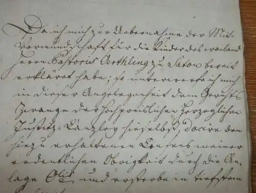 Pastorius Oerthling zu Satow , 1799 , alte Akte , Kranel in Rostock , Mecklenburg !!