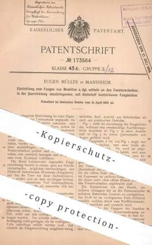 original Patent - Eugen Müller , Mannheim | 1905 | Fliegen , Mücken , Moskitos fangen | Fliegenfänger | Insektenfänger