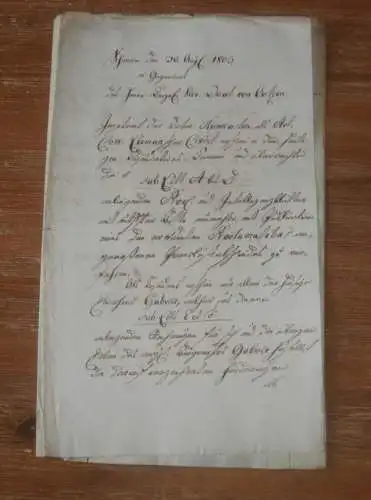 alte Akte , von Oertzen , 1803 , J.F. Gabcke , Dr. Reimkasten , Dr. Lehmann , Schwerin in Mecklenburg !!